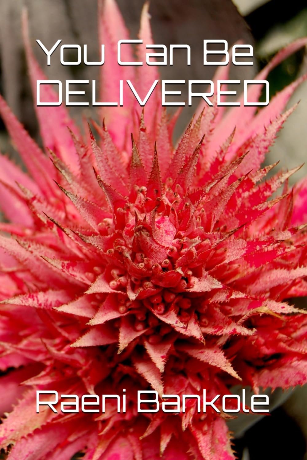 Book cover of You Can Be Delivered! by Raeni Bankole
